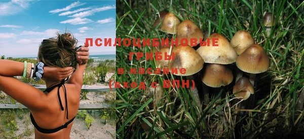 индика Белоозёрский