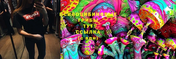 индика Белоозёрский