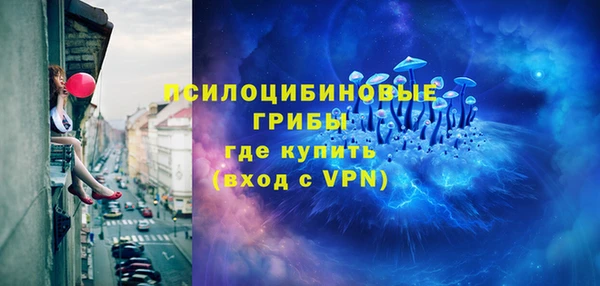 индика Белоозёрский