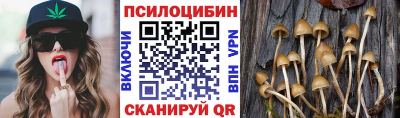 Галлюциногенные грибы MAGIC MUSHROOMS  даркнет сайт  Новотитаровская 