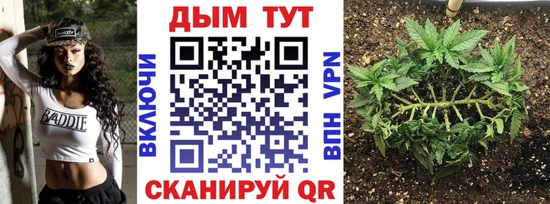 Шишки марихуана конопля  Новотитаровская 